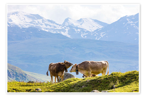 Bando di gara tramite procedura aperta per la concessione in uso di edifici rurali e relativi pascoli di proprietà comunale soggetti ad uso civico per le stagioni di alpeggio 2026-2029 - Lotto 1-2-3.